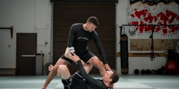 MMA lernen zu Hause – Der geheime Trainingsplan